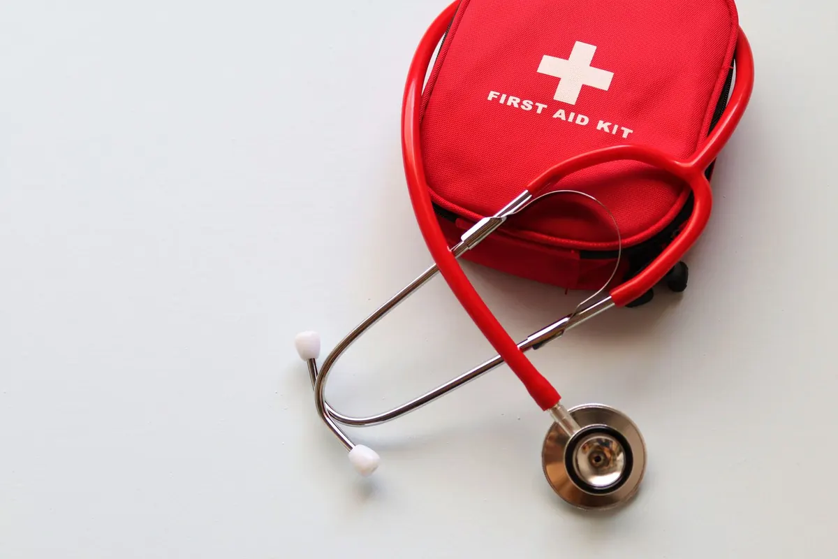 Out-of-Hours Pet Emergencies in Devon: What to Do Before You Reach the Vet